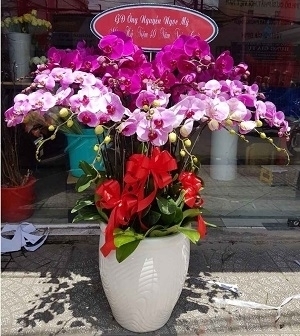 Shop bán điện hoa tươi tại Hoàn Kiếm