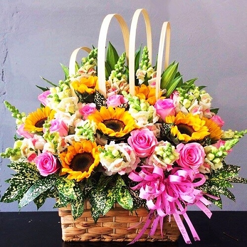 hoa tang ngay cua cha