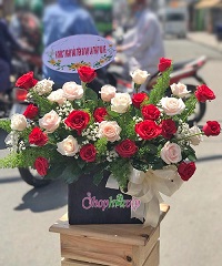 Shop bán điện hoa tươi tại An Nhơn