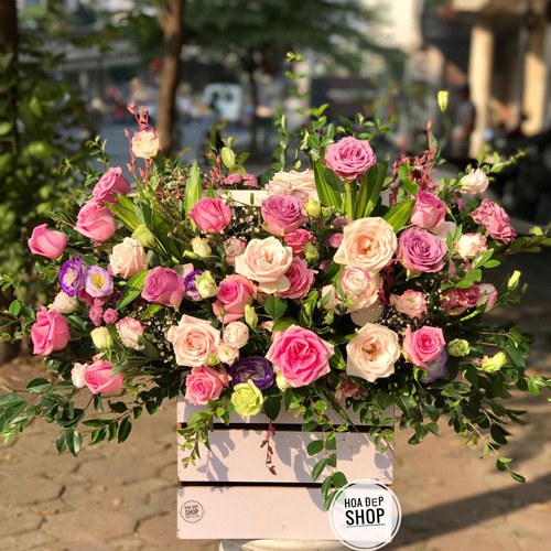 Shop hoa tươi Bắc Hà Lào Cai