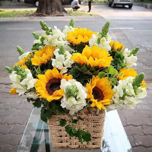 Shop hoa tươi Bình Lục Hà Nam