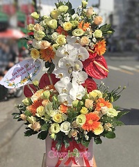 Shop hoa tươi Đam Rông Lâm Đồng