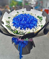 Shop hoa tươi Mường Nhé Điện Biên