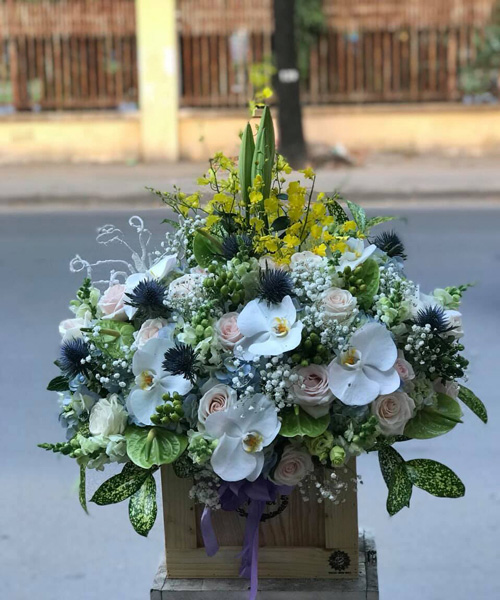 Shop hoa tươi Ninh Phước Ninh Thuận
