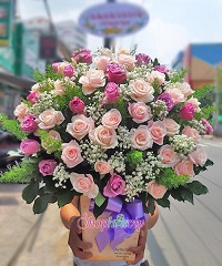Shop hoa tươi Tánh Linh Bình Thuận