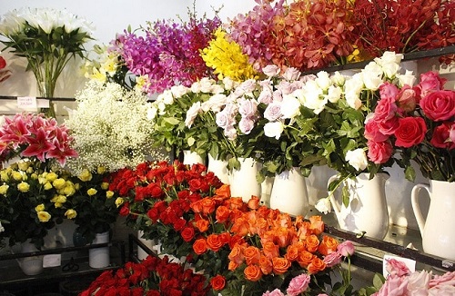 Shop hoa tươi An Giang