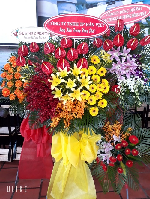Hoa khai trương tại shop hoa tươi Hàm Thuận Nam