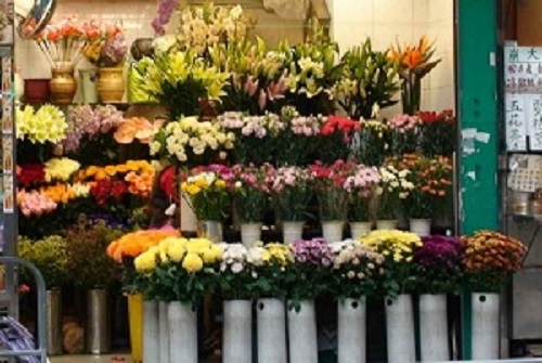 Cửa hàng hoa tươi Ba Đình