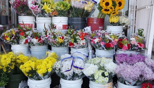Cửa hàng hoa tươi Đông Anh