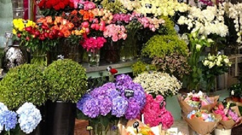 Cửa hàng hoa tươi Đống Đa