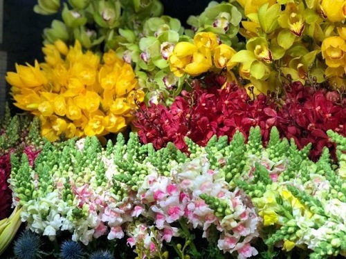 Shop hoa tươi Long Biên