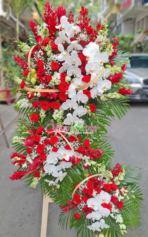 hoa kha trương