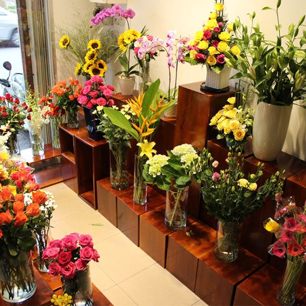 Shop hoa tươi Phú Yên