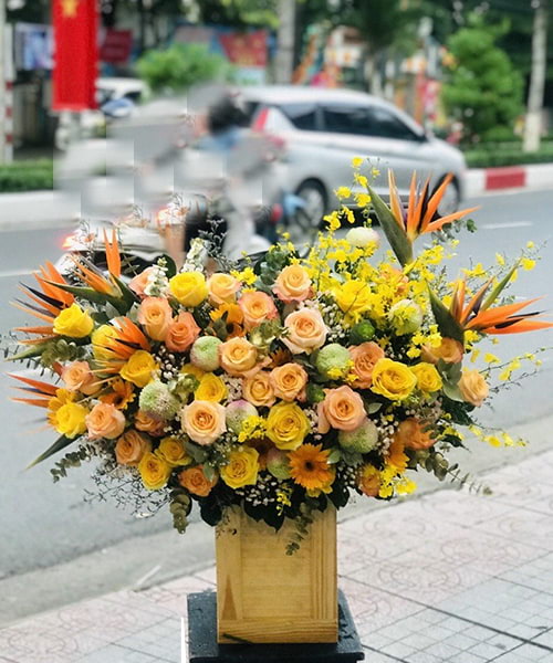 shop hoa tươi thái bình