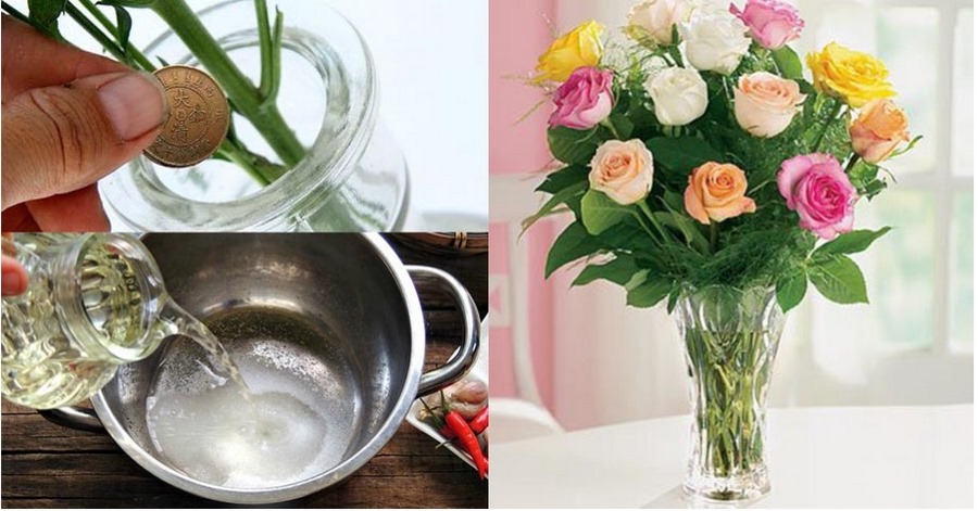 Sử dụng những dung dịch thông dụng để pha nước cắm hoa giúp hoa được tươi lâu hơn