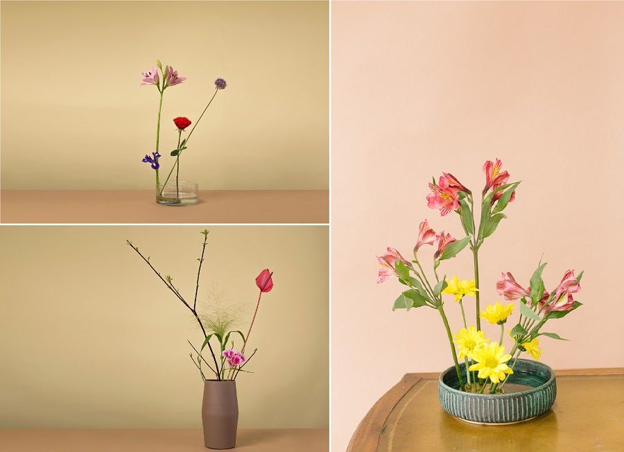 10 cách cắm hoa đẹp, đơn giản nhất | Mẹo giữ hoa tươi lâu