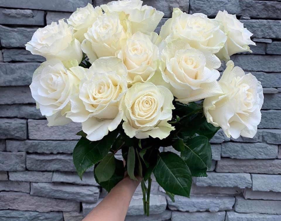 hoa hồng trắng có ý nghĩa gì?