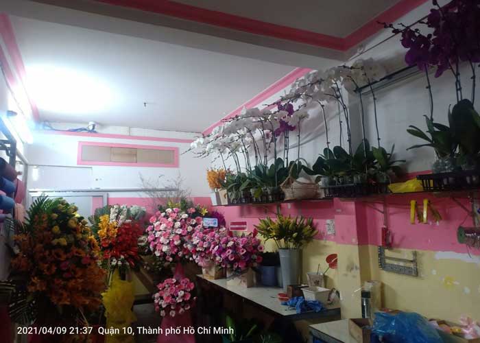 shop hoa tươi quận 12