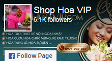 Facebook shophoavip.com
