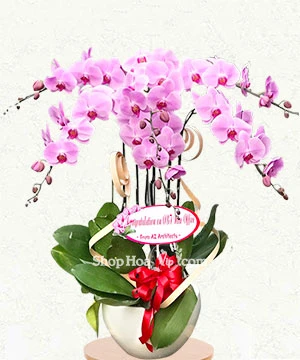 chao xuan nhu y 6 canh