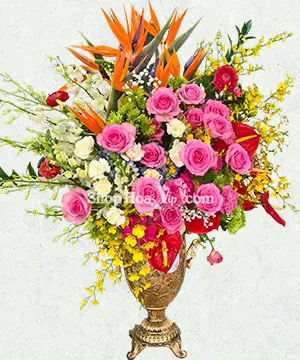 chuc mung thanh cong