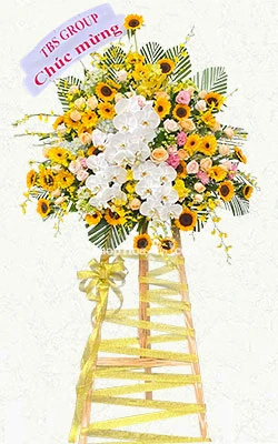 con duong phia truoc