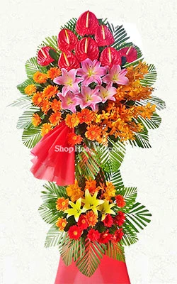 khai truong hong phat