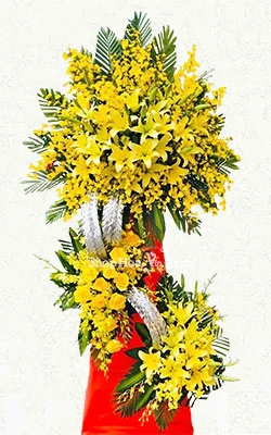 khai truong hong phat