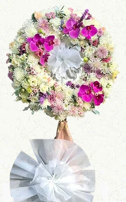 noi long nguoi o lai