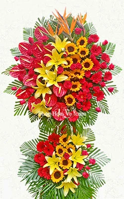 ron vang khuc giao mua