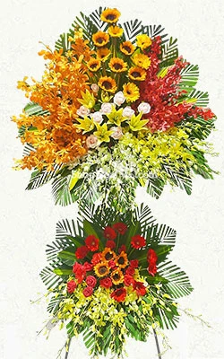 ron vang khuc giao mua