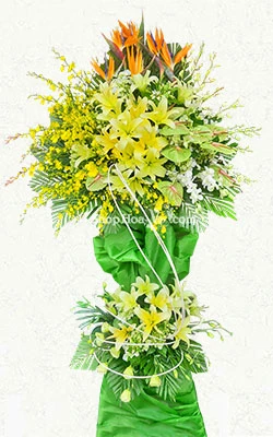 tu do huong den tuong lai