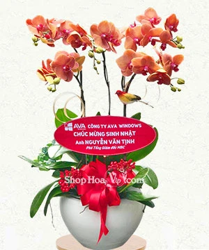 chau lan ho diep 5 canh