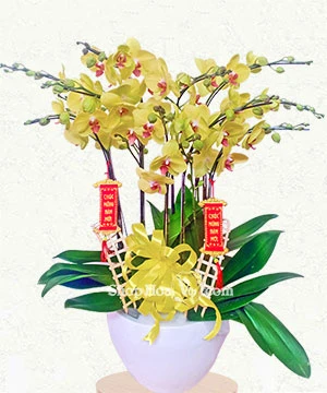 chau lan ho diep 10 canh vang