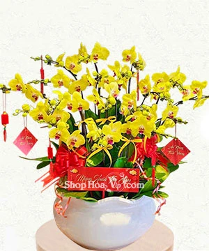 chau lan ho diep 18 canh vang