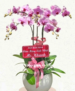 chau lan ho diep 5 canh