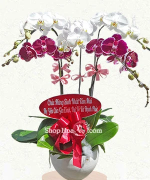 chau lan ho diep 5 canh