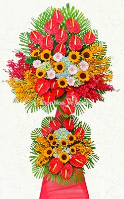 bong mung khai truong