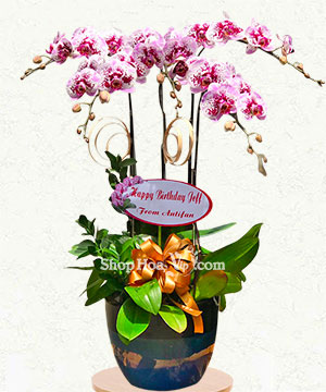 chau lan ho diep 5 canh